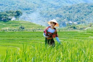 OH Pu Luong Homestay - 3