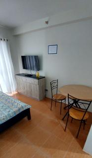 Cebu Simplified Practical Living Studio One Oasis - 5