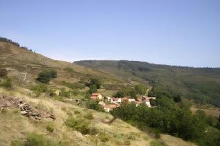 Chant De La Fontaine - La Fougère - 9