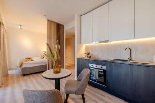 Stay at Brussels studio apartment - 5