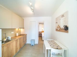 Apartments Arti Homes Rab Banjol - 6