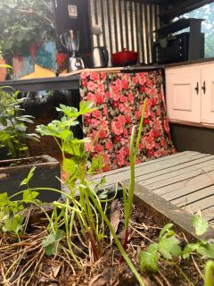 DomosdeMar a 100 mts del mar - 7