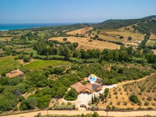 Euforbia Complex - 8