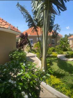 Pademo Resort Soroti - 3