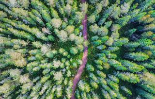 3 Bedroom Cozy Home In Lesjöfors - 4