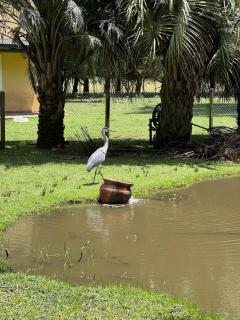 Hermosa casa de campo con jardines - estanque y piscina - 3