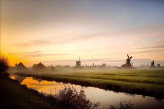 Tiny houses De Beemster - 2