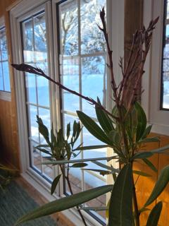 Ferienwohnung Schmidt - Natur und Ruhe - Schwaigen - 8