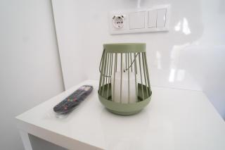 GREEN STUDIO TARRAFAL - Ap 02 - 6