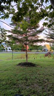 Mountain Deer Resort & Camping - 2