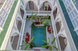 Riad les palmiers de la medina - 5