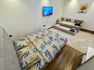 Luxury Private Room near airport - 5