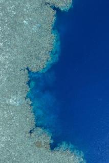 Reconnect - Private Island Resort & Dive Center Togean - Buka Buka Island - 3