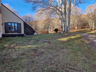 Le Chalet de l Abeille - 8