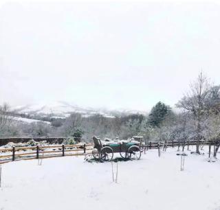 Alpaca cabin-mountain view-hot tub-rural retreat - 2