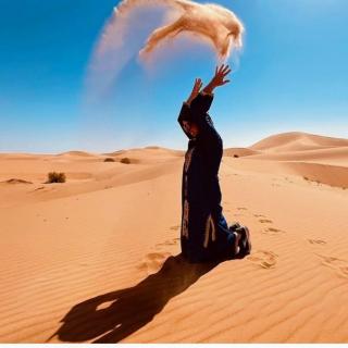 Merzouga Wildlife Desert Camp - 4