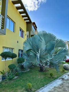 Tonys paradise hotel - 5