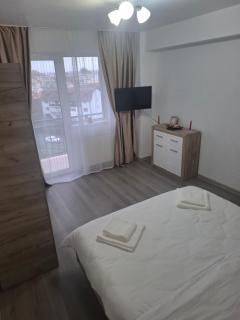 Apartament SARA ROYAL VIEW - Sibiu - 1