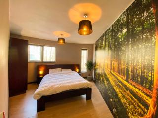 Luxe vakantiehuis Drenthe 10 pers Hottub - 4