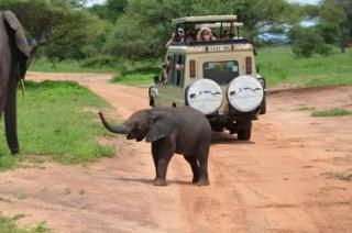 Kilimanjaro Village Hotel - 9