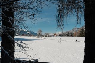 Apartment Eichhof - 9