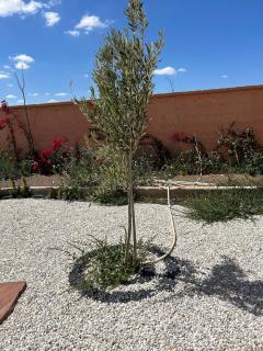 Villa l'odyssée - 3