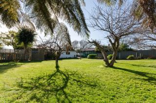 Sunrise at Penguin - 1