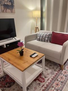 Luxury 1BHK Private Apartment in Bosher - 4