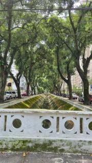 Apartamento charmoso e funcional perto da praia - 1 quarto - 5