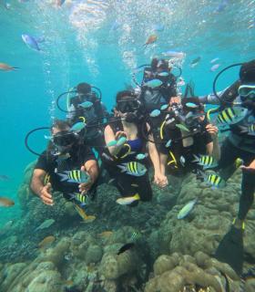 Turtles Bay Resort - 2