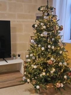 Charming Historic Home with Rooftop Views - 8