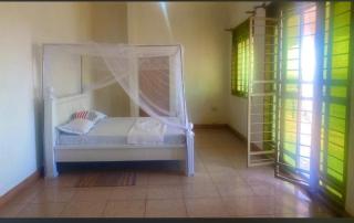 White House -Two palms - 6