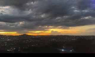 White House -Two palms - 3