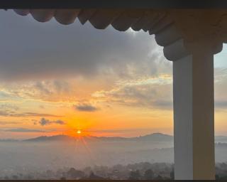 White House -Two palms - 2