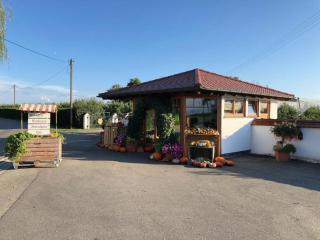 Hundweiler Hofheimat - 2