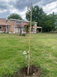 Casa de verano confortable - 6