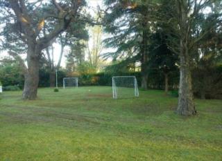 Quinta papa cebolla - 7