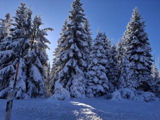 FeWo Harzer Weitblick, bis 2 Hunde Willkommen, W-Lan, 2x Smart TV, DTV 4 Sterne, 4 Pfoten - 8