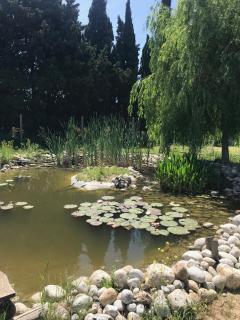 Le gîte de la Massoterie - 8