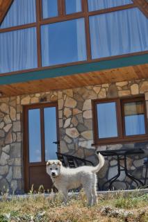 Village house Gutovic - 9