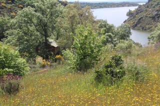 Cabañas en los Árboles de Extremadura - 7