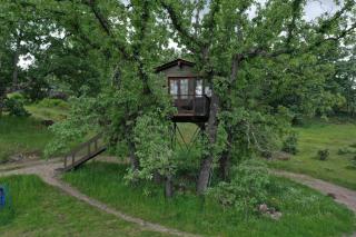 Cabañas en los Árboles de Extremadura - 3