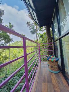 Happy Feet Adventure - 4