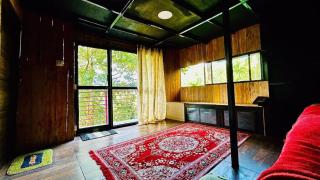 Happy Feet Adventure - 1