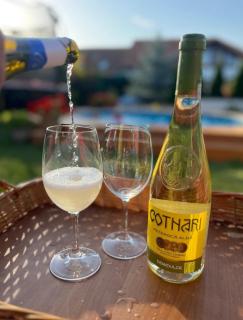 Apartment with garage and garden - 9