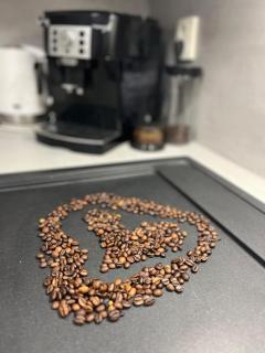 Apartment with garage and garden - 3