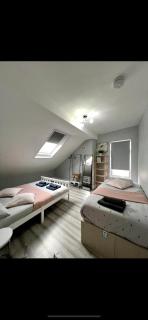 DVM escape Flat 3 - 5