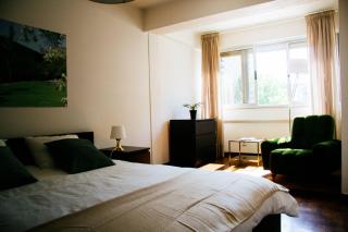 Bright Apartment in Campo Grande, Lisbon #private parking - 7