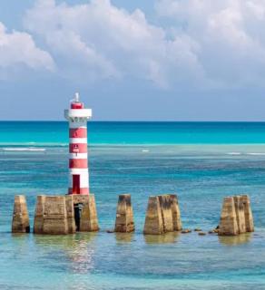 Quarto e sala, vista mar, 50m da praia de Ponta Verde - 4