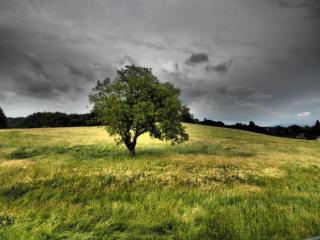 Ferienwohnung Gruberhof - 4